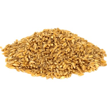 500 gr